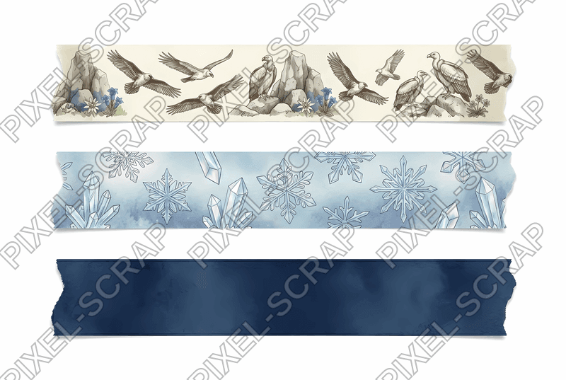 Vulture & Navy Washi